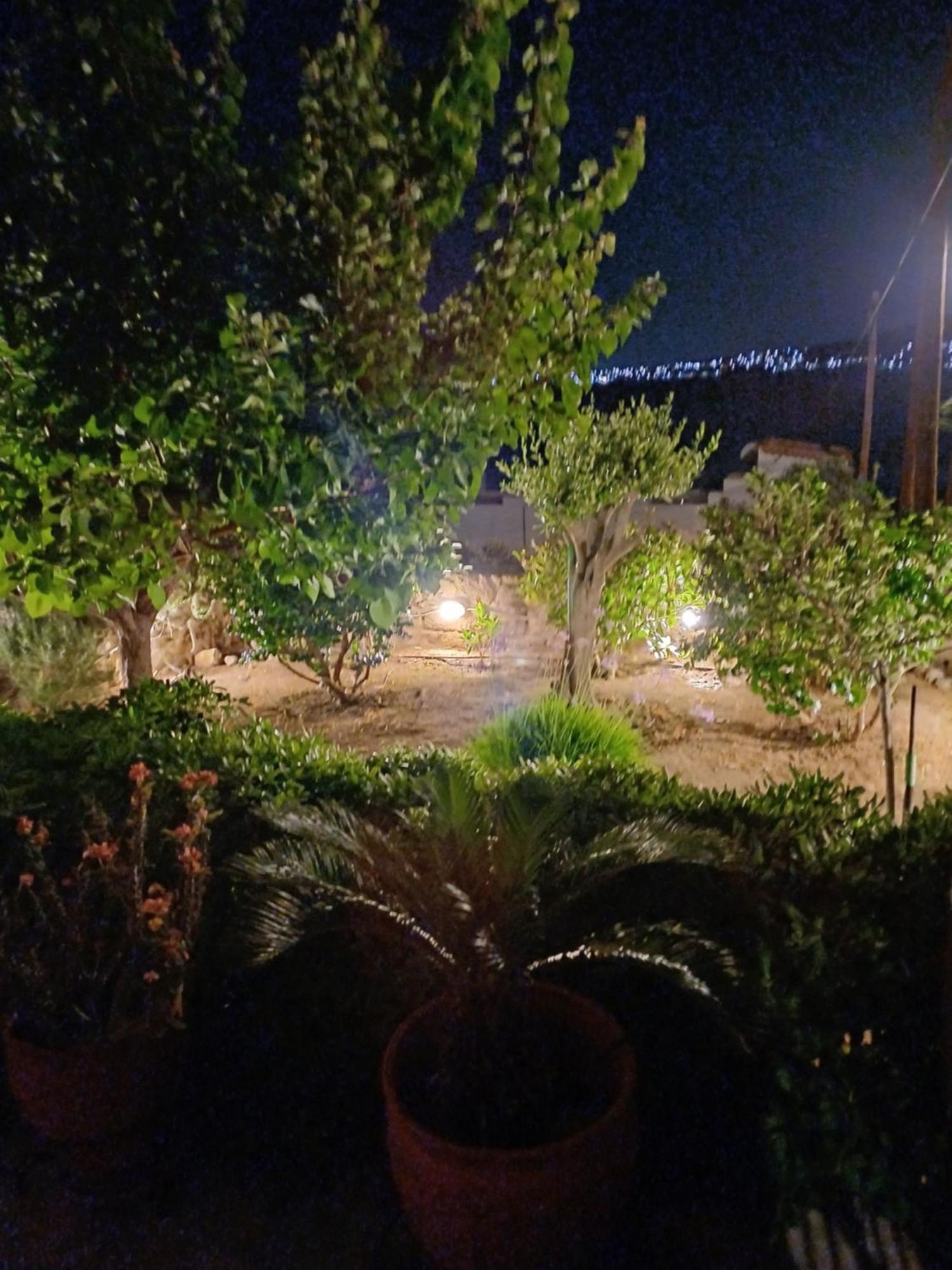 הוילה פרדיקה Calma מראה חיצוני תמונה